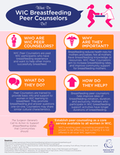 Breastfeeding Peer Counselors Infographic