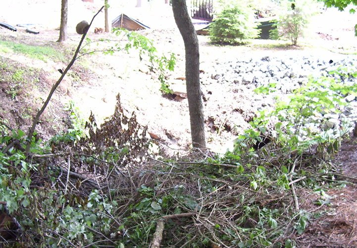 photo about branches and debris dumped in a drainage ditch